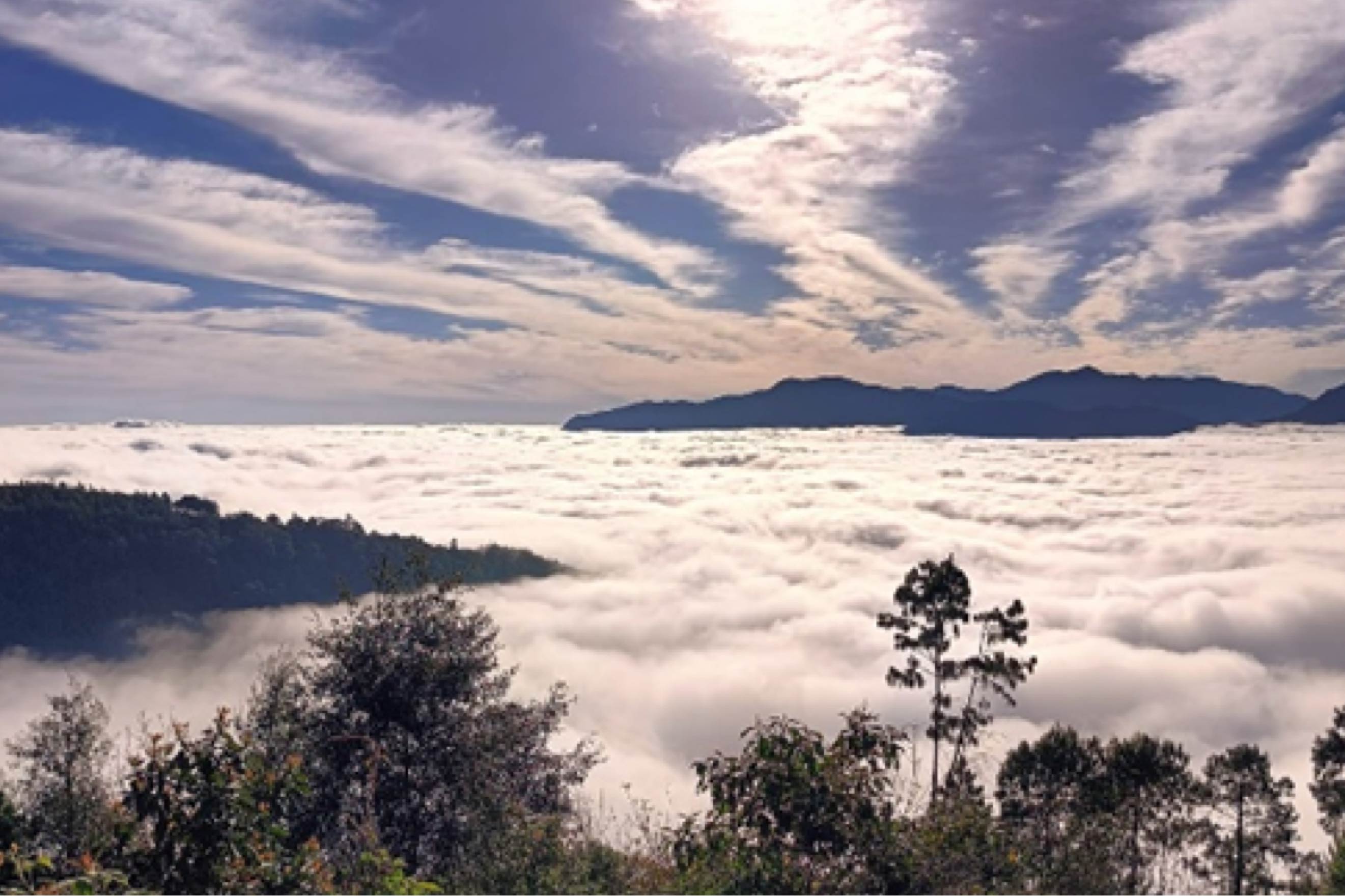 Nogales — naturaleza